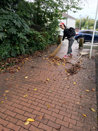 落合川遊歩道での ボランティア